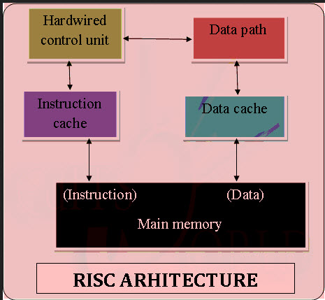 Watch complete video answer for “risc is” of biology class 12th. Risc And Cisc Architecture Working Their Applications
