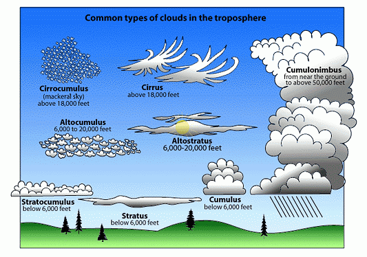 A cubic foot of soil weighs between 74 and 110 pounds, depending on the type of soil and how moist it is. Cloud Development