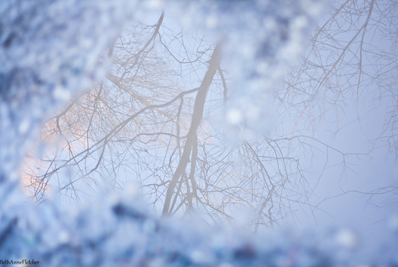 20 Superbes Photos D Hiver Webdesigner Trends