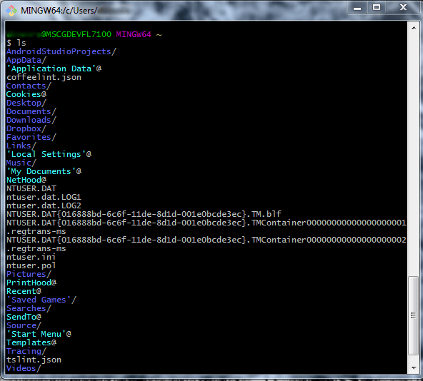 gitbashscreen3 Web Development Reference
