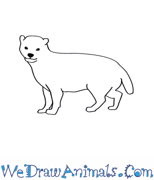 Different techniques are appropriate for drawing bush where . How To Draw A Bush Dog