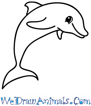 How to draw a dolphin. How To Draw A Cartoon Dolphin
