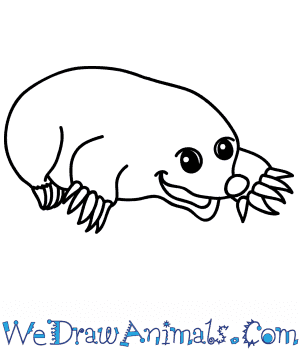 First we'll draw the head. How To Draw A Cartoon Mole