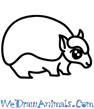 31.01.2022 · erin simanskis' family joins work colleagues in the wral azalea garden to celebrate her life. How To Draw A Cute Armadillo