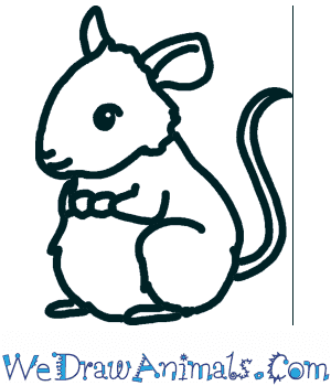 Begin by drawing a cone shaped snout. How To Draw A Cute Rat