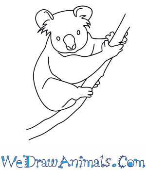 Check out the low for tips and how to become a successful beginne. How To Draw A Koala
