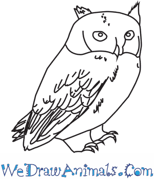 Have them explain a key concept by giving the definition (in their own words), drawing a picture, giving an example, and explaining the big idea that goes along with the key concept. How To Draw A Little Owl