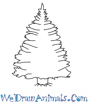 However, where did this traditio. How To Draw A Pine Tree