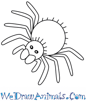 Draw a long u shape from the left side of the head to the right side. How To Draw A Simple Tarantula For Kids