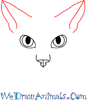 Despite their reputation for being dominant and independent, cats have effortlessly made their way into the hearts of many humans. How To Draw A Cat Face