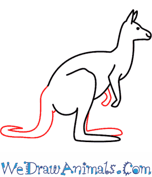 ​step by step instructions for drawing​ a cartoon kangaroo. How To Draw A Kangaroo