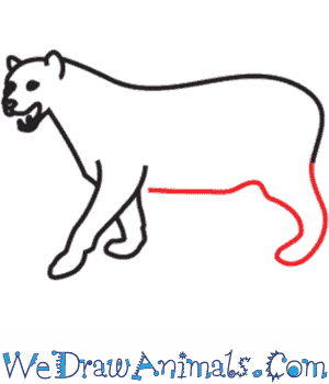 Please comment and let me know what you'd like to see next: How To Draw A Leopard