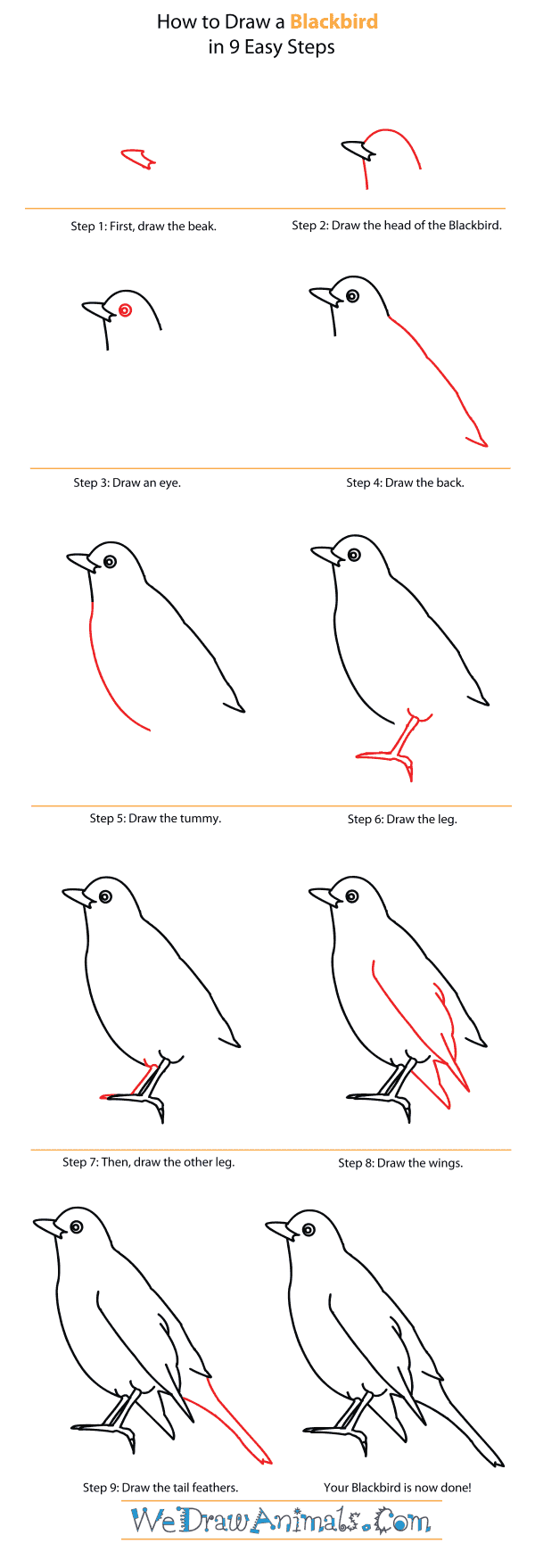 This will form the birds head. How To Draw A Blackbird