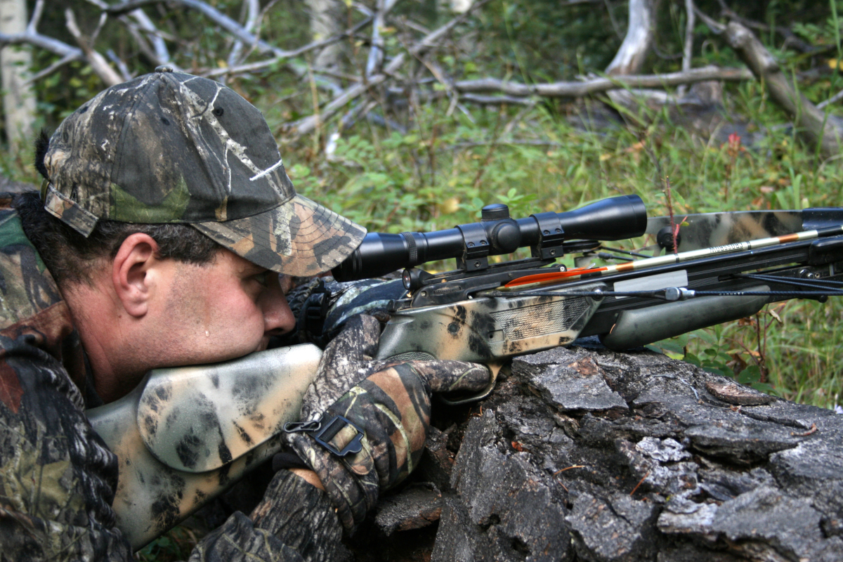 Archer Tests the Effectiveness of a Compound Bow Underwater - Wide Open ...