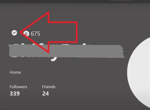 Many players set a part their profile by utilizing symbols normally not found on the system. How To Get Verified On Xbox Wirelesshack