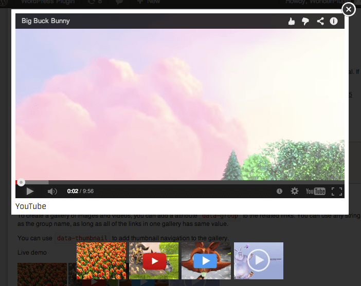 Responsive lightbox and gallery plugin is a fully fledged wordpress gallery plugin with a powerful drag & drop gallery builder and lightbox functionality . Responsive WordPress Image and Video LightBox Gallery | WordPress Plugin