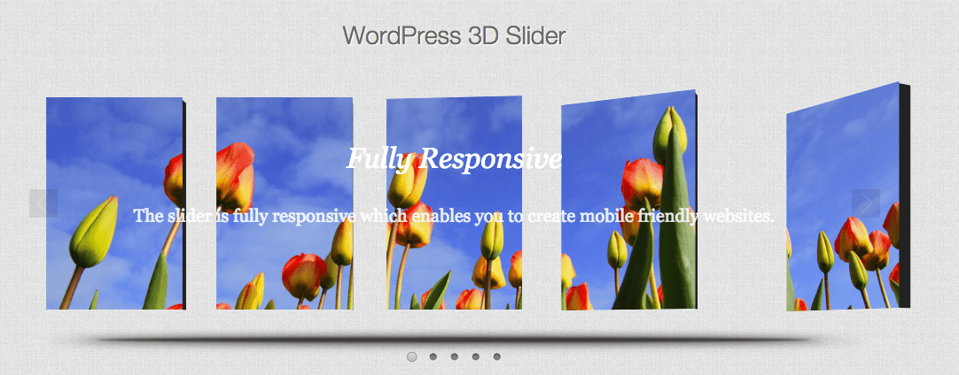This tutorial will guide you how to create a fullscreen background slider for your wordpress. WordPress Slider with Lightbox Popup | WordPress Plugin