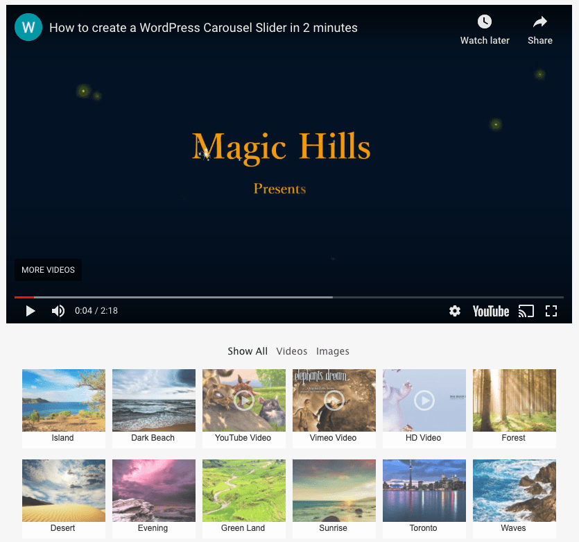 Some call nextgen gallery plugin the mother of wordpress photo gallery plugins. Wordpress Image Video Gallery With Thumbnail Playlist Wordpress Plugin
