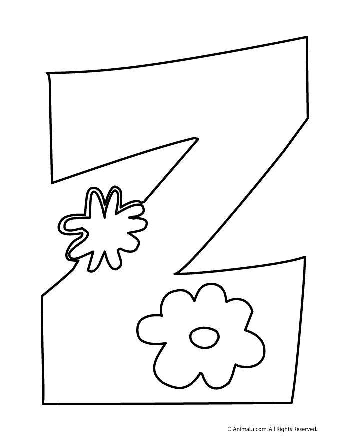 z woo jr kids activities