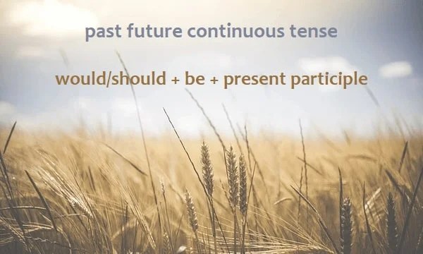 Past Future Continuous Tense: Pengertian, Rumus, Contoh Kalimat