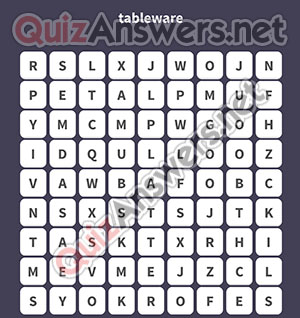 FORK BOWL PLATE SAUCER PLATTER GLASSES