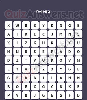 RAT MOUSE BEAVER GOPHER GERBIL PORCUPINE