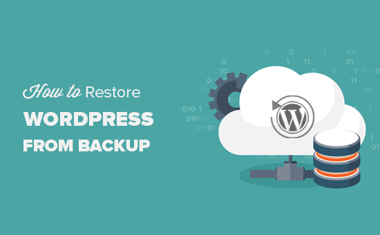 Various plugins exist to take automatic scheduled backups of your wordpress database. Beginner S Guide How To Restore Wordpress From Backup