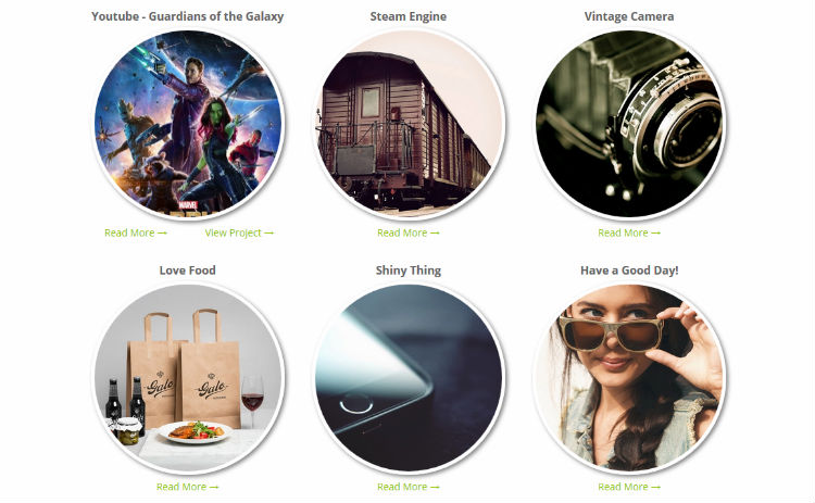 The other option cuts the pictures a bit to make them into circles. 20+ Best WordPress Portfolio & Gallery Plugins in 2021 - WPExplorer