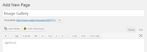 In the wordpress editor, the added code in the text box is still displayed. What Are WordPress Shortcodes | WPGlobalSupport | Glossary