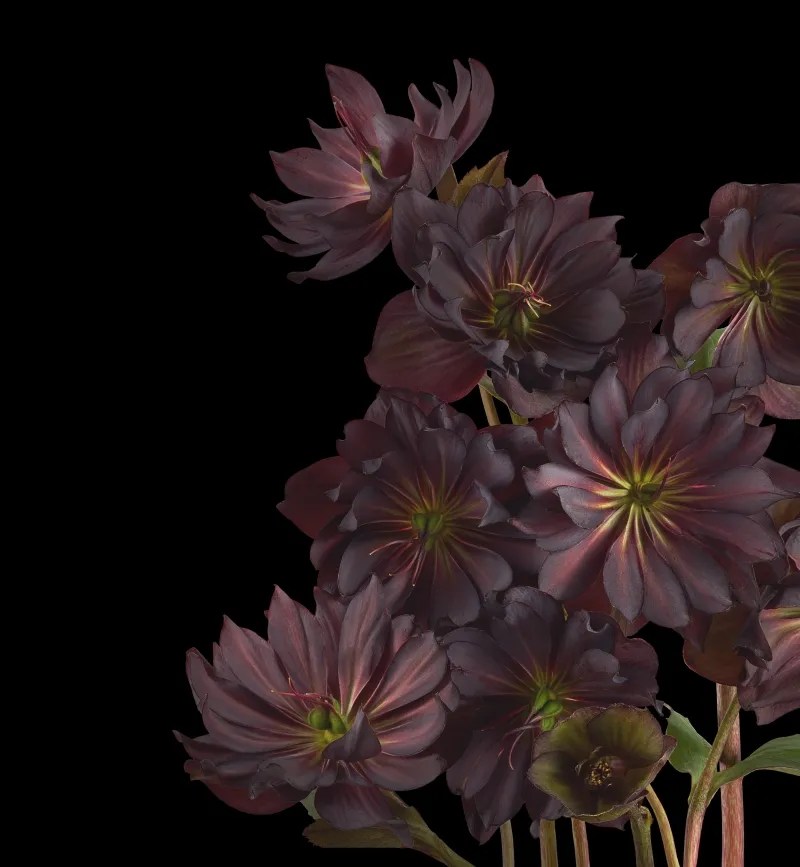 Pc(720p, 1080p, 2k, 4k, 5k):. Get The New Pixel 6 Wallpapers For Your Device And Give It A Fresh Look