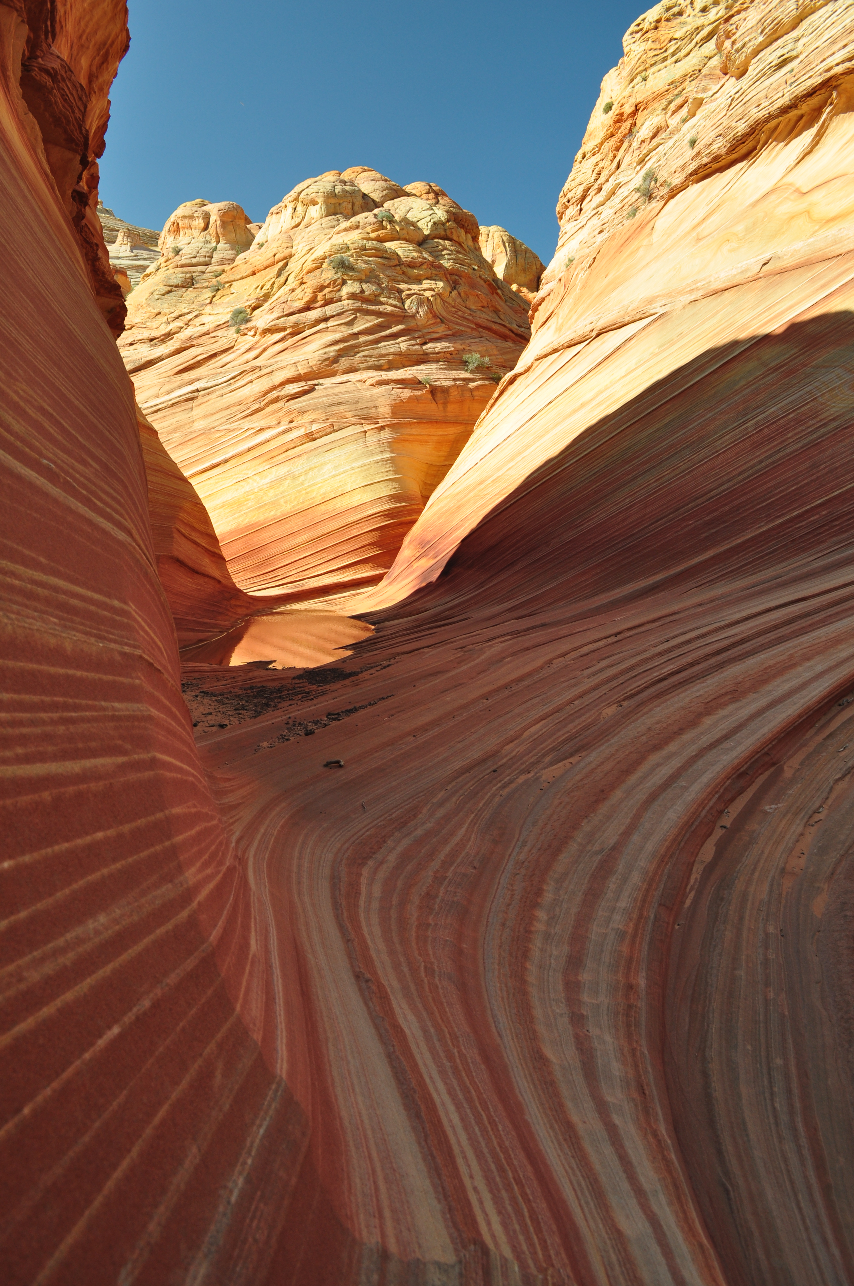 The Wave Your Hike Guide