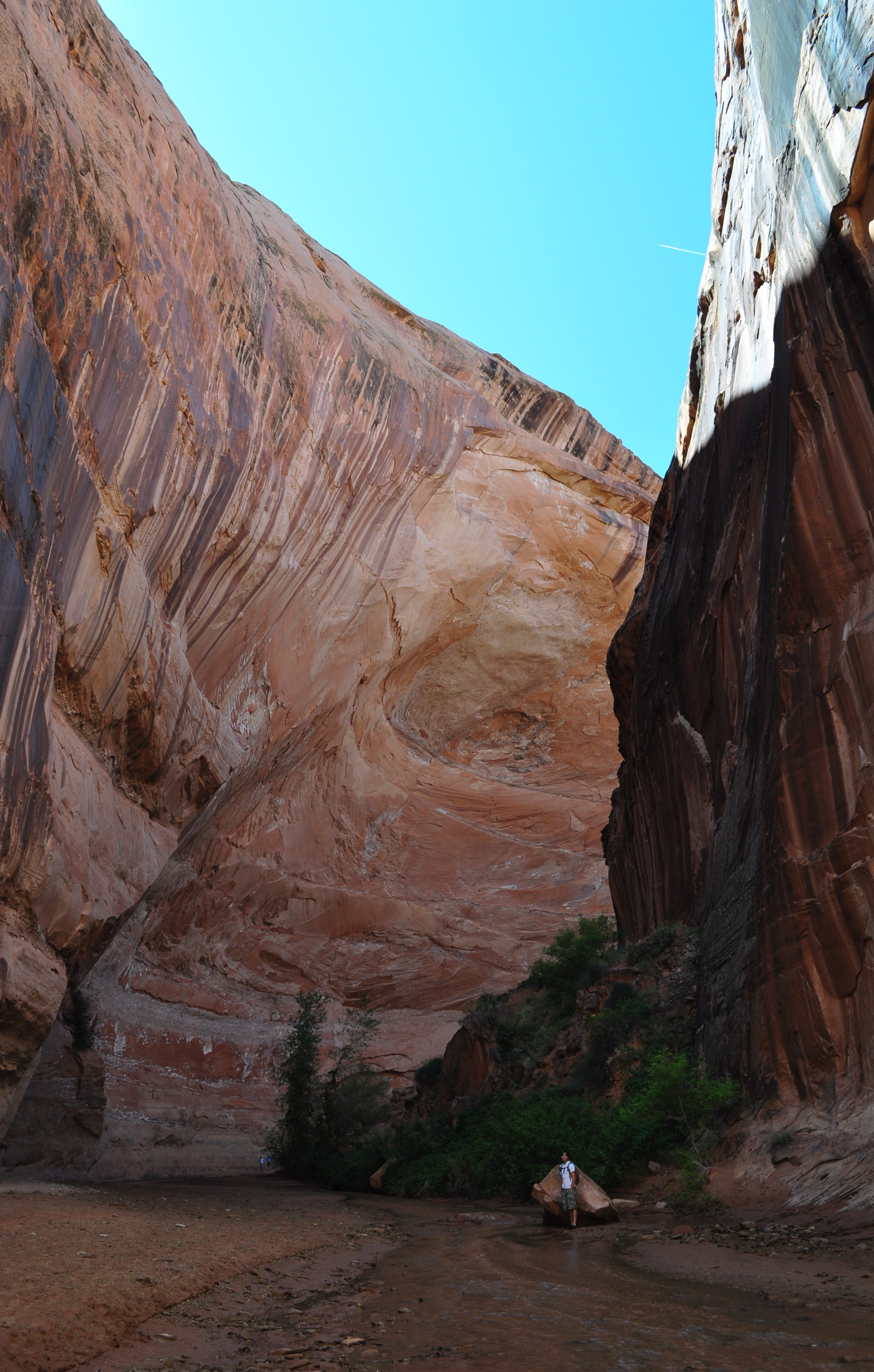 Coyote Gulch - Your Hike Guide