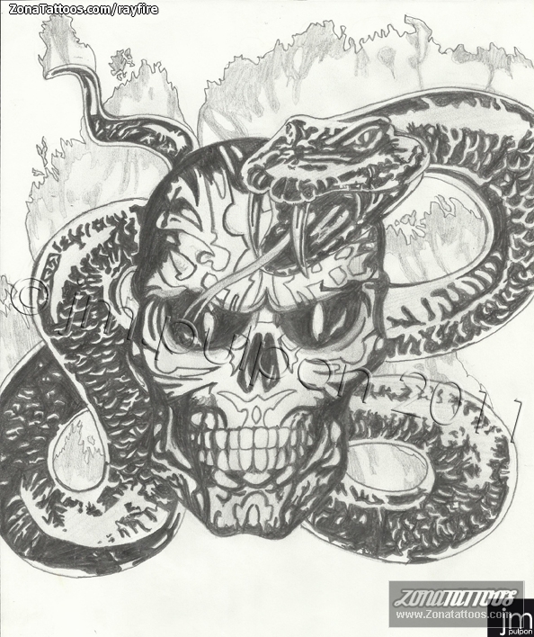 La mayoría de las especies de serpientes en la florida no son venenosas,. DiseÃ±o de Serpientes, Calaveras