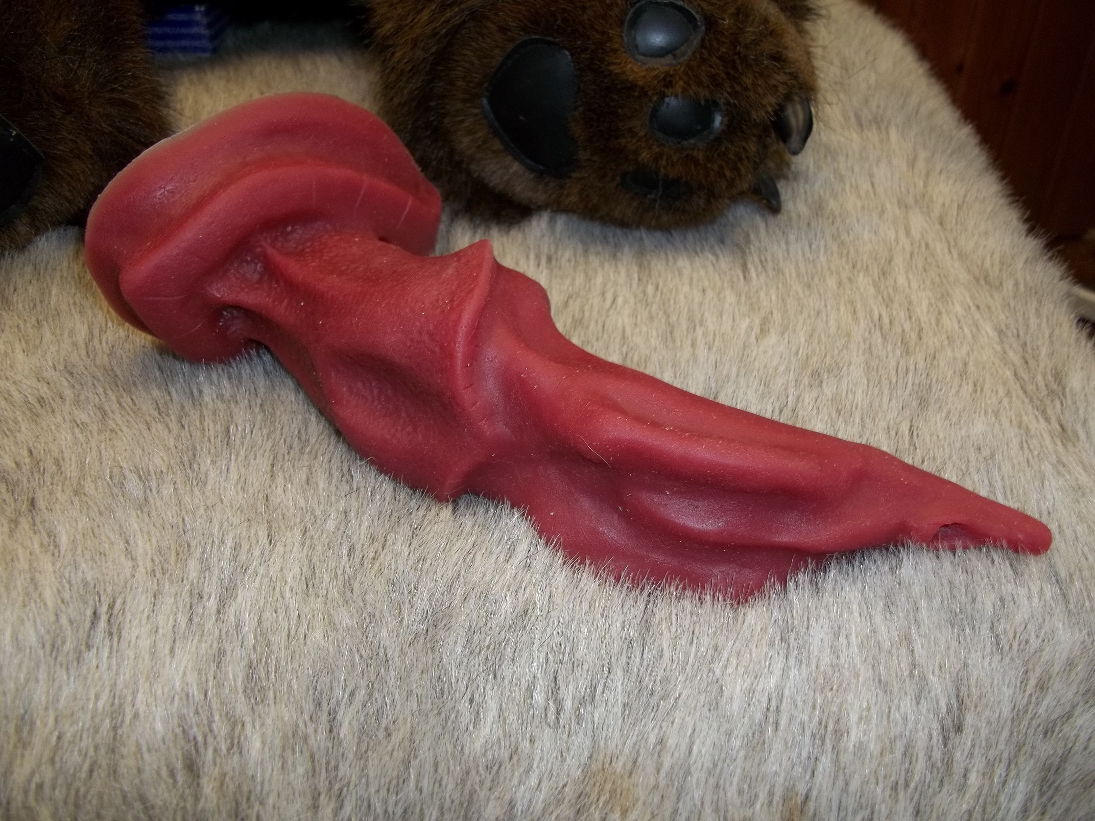 What is the meaning of zoo? Dylan The Dolphin