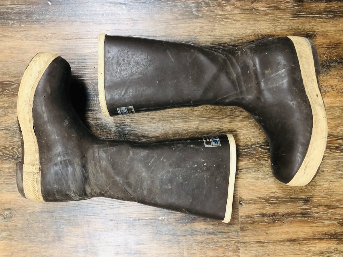 Top-Notch Boots: Xtratuf Legacy Boots 