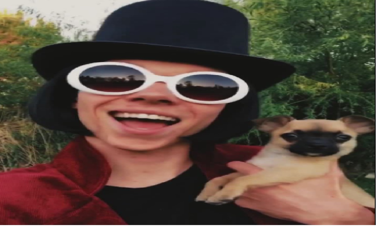 Why Is Willy Wonka TikTok Cancelled? Know The Reason XperimentalHamid