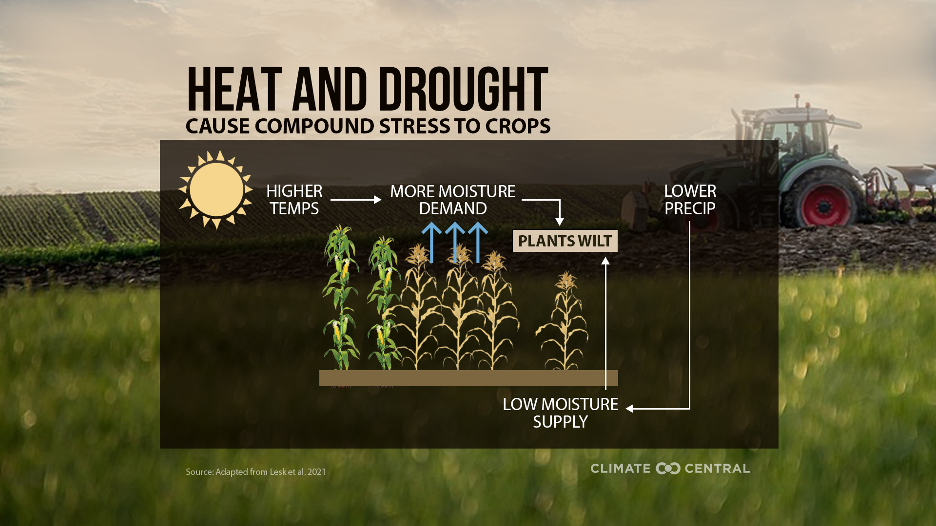An infographic explaining how heat and drought affect crops.