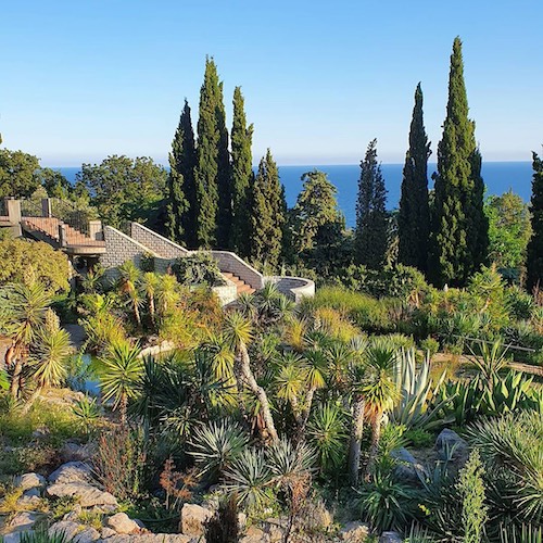 JPG Никитский ботанический сад | virtual tour generated by panotour. Ekskursiya V Nikitskij Botanicheskij Sad Iz Yalty 2021