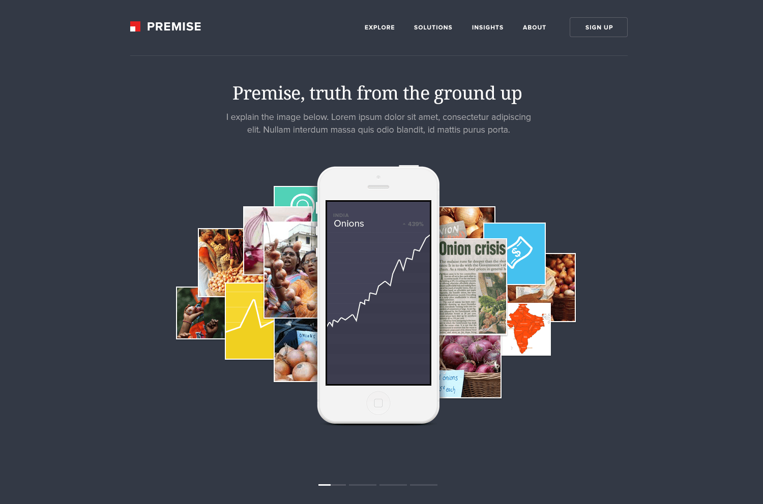Website Design Project