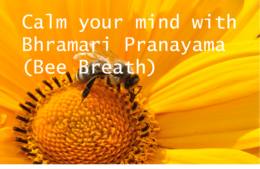 Bhramari Pranayama Bee Breathing Technique Yoga is PossibleYoga is