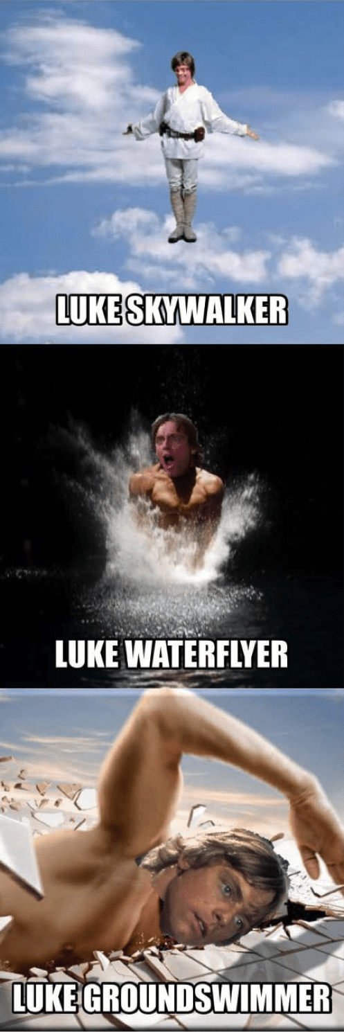 Coffee memes come from a place of shared experience, which is why they're so widely used. The Best Collection Of Funny Hollywood Memes Young Entertainment