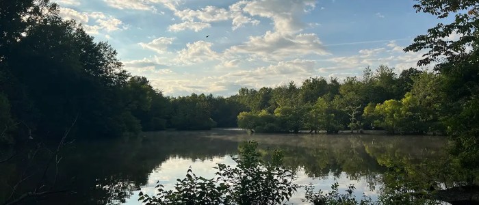 Fred Stanback Obituary (2017) - Hamlet, NC - Richmond County Daily Journal Fred stanback net worth