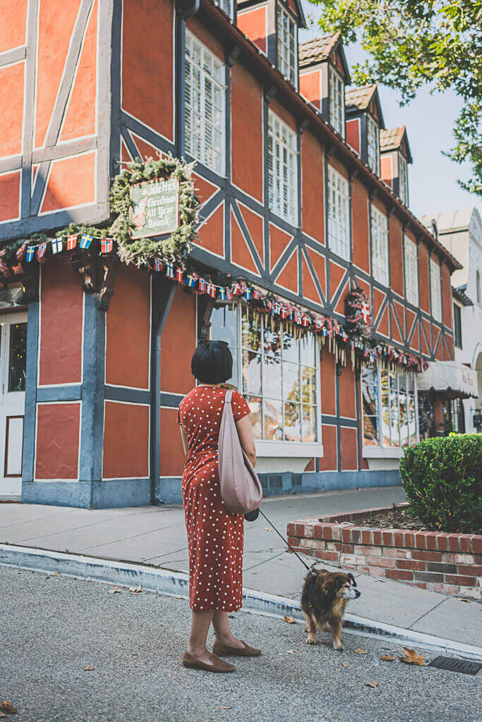 Here's everything you need to bring along to keep your pooch happy, healthy, and safe. Dog Friendly Solvang Guide Day Trip To Solvang Pet Friendly Attractions