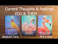 YOU vs THEM | CURRENT FEELINGS \u0026 ENERGY CHECK🔥 Pick a Card Tarot Reading (Timeless)