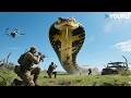 King Cobra ready to ATTACK! 👑🐍💢 Full DANGER mode! | Jurassic Revival | YOUKU MONSTER MOVIE
