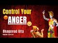 Bhagavad Gita For ANGER Management l Tools For Emotional Balance l Swami Mukundananda