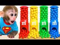 Macaco Bon Bon e Sua Divertida Aventura de Jardinagem - MACACO BON BON