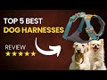 Top 5 Best Dog Harness on Amazon 2026