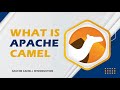 What is Apache Camel | Introduction |TECH BUZZ BLOGS