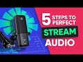 Make Your Microphone Sound PRO in 5 EASY Steps!
